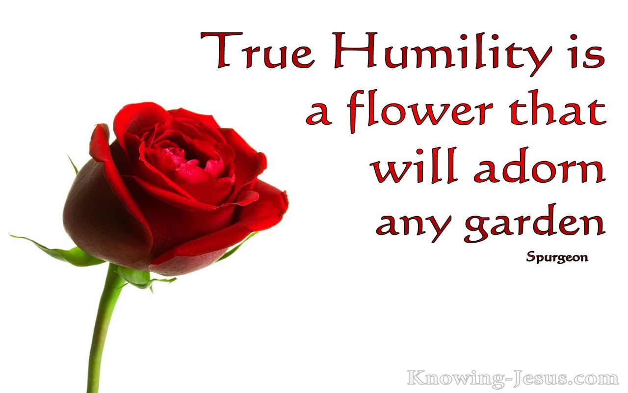 The Thread of Humility (devotional)09-12 (white) - poem